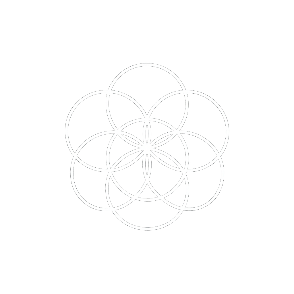 Flower of Life & Seed of Life Hoodie
