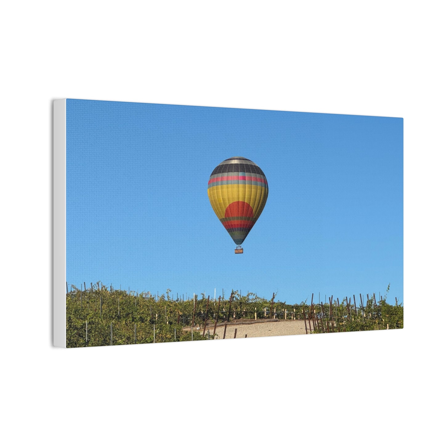 Hot Air Balloon Over Vineyard Canvas