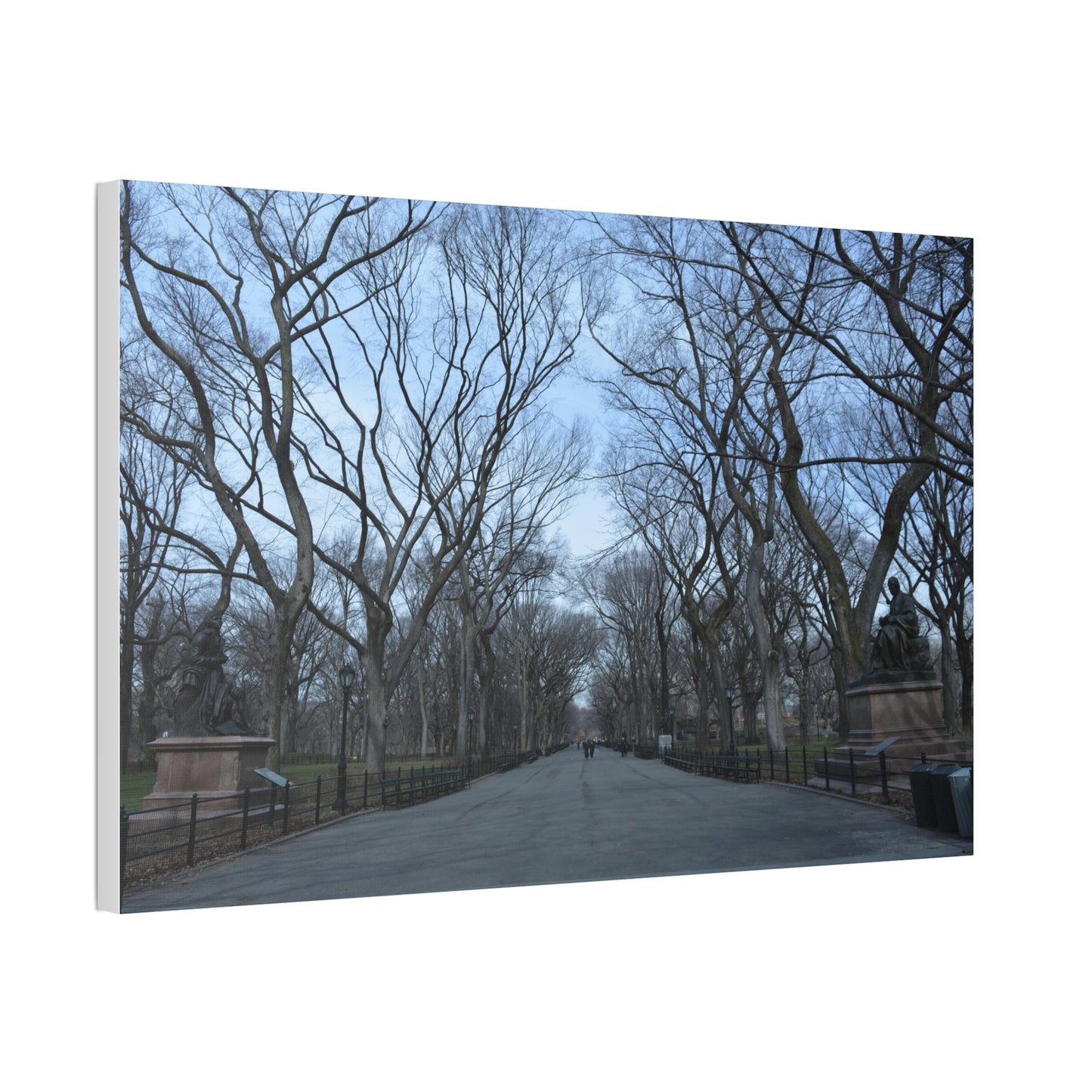 Leafless Tree Lined Path Canvas Stretched | Central Park In Winter Landscape Wall Art