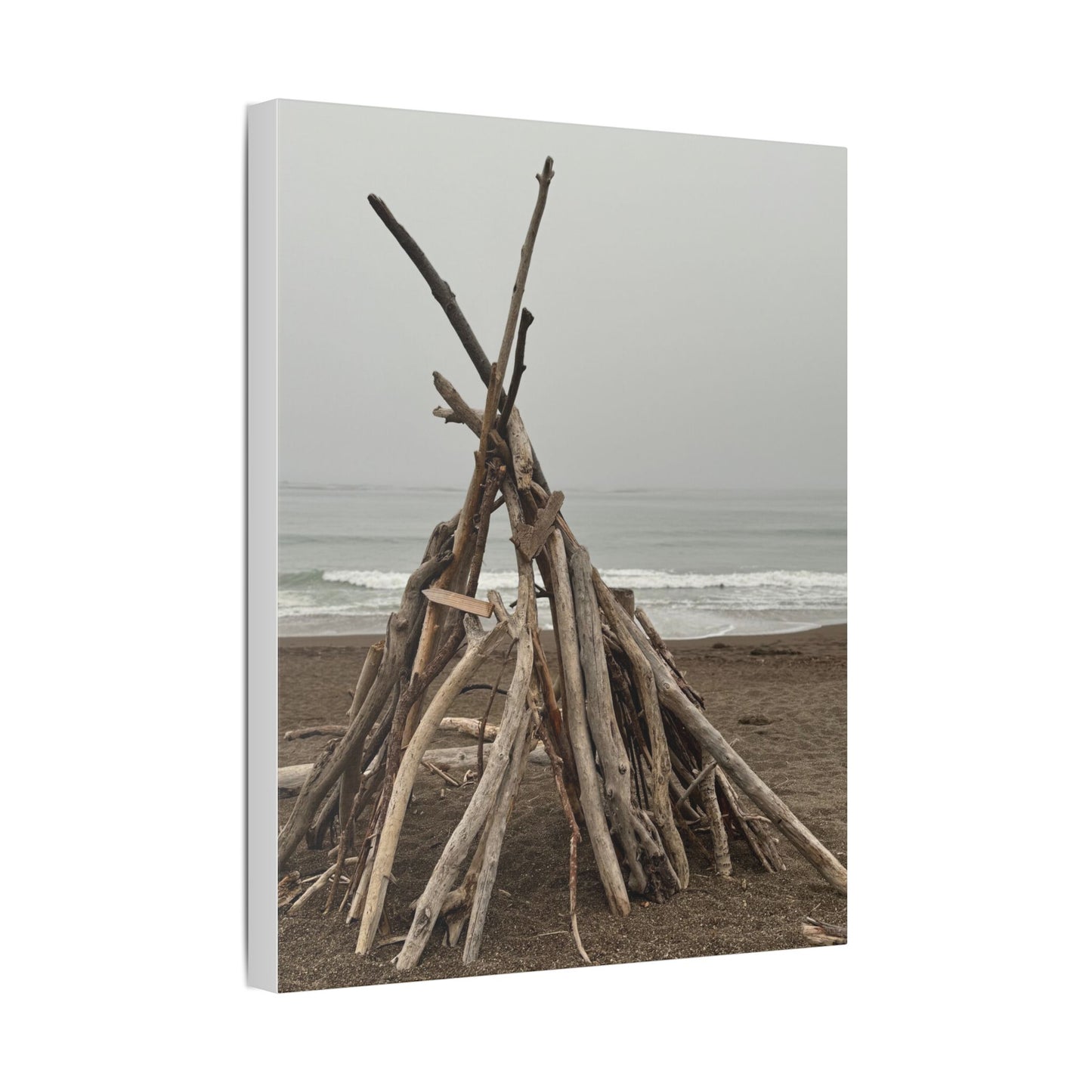 Driftwood Teepee Beach Driftwood Canvas