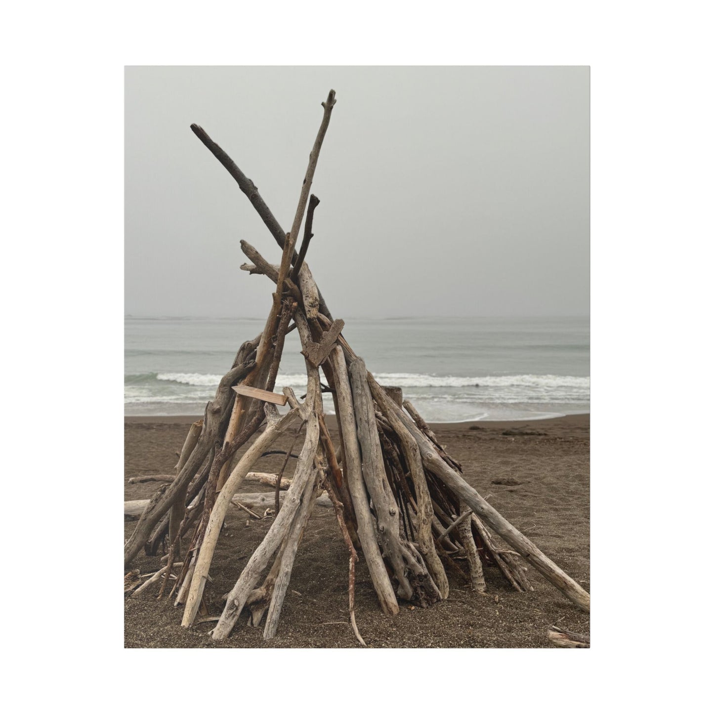 Driftwood Teepee Beach Driftwood Canvas