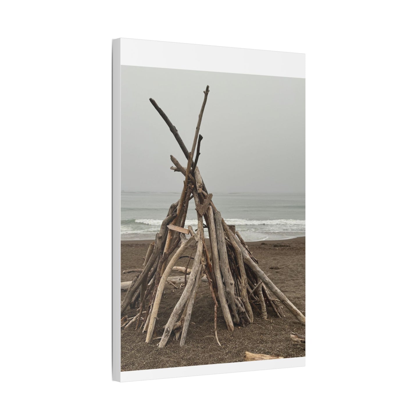 Driftwood Teepee Beach Driftwood Canvas