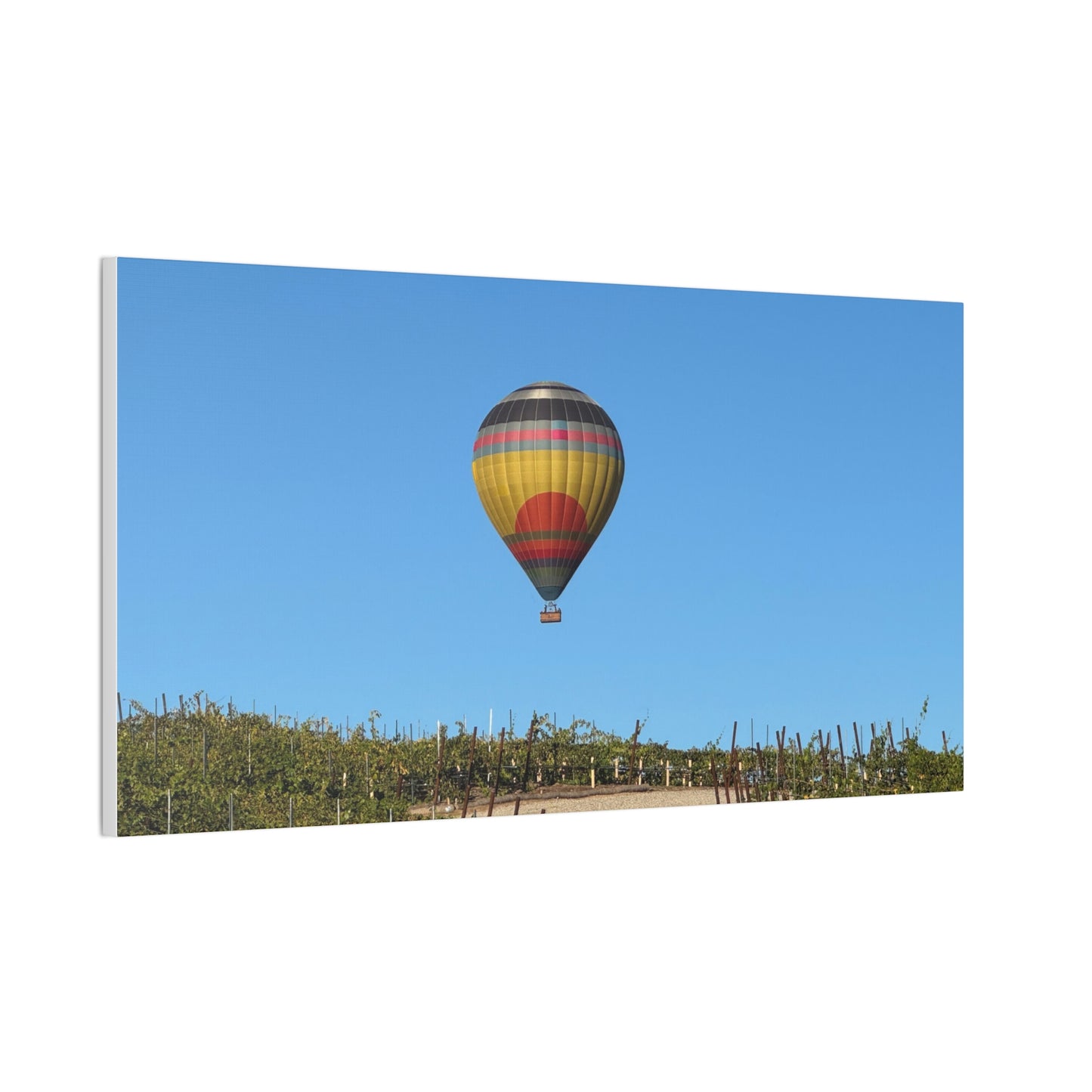 Hot Air Balloon Over Vineyard Canvas