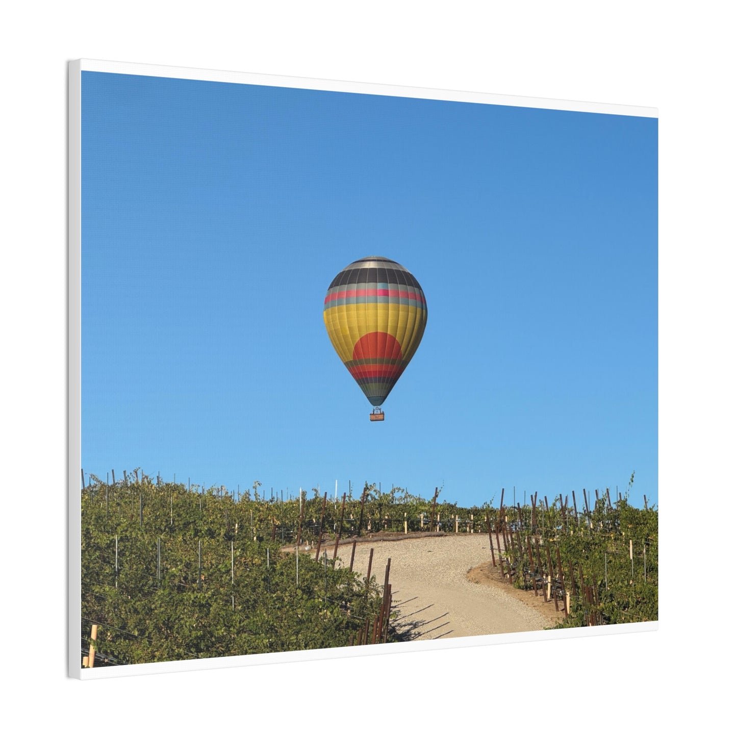 Hot Air Balloon Over Vineyard Canvas