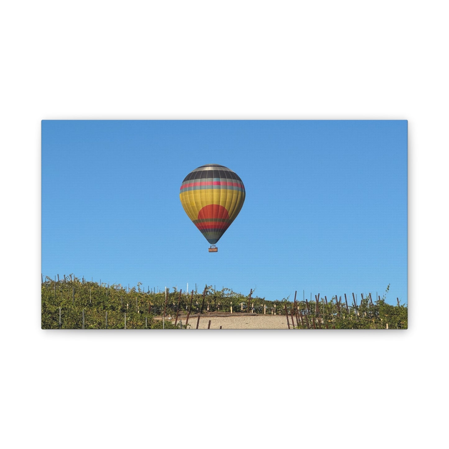 Hot Air Balloon Over Vineyard Canvas