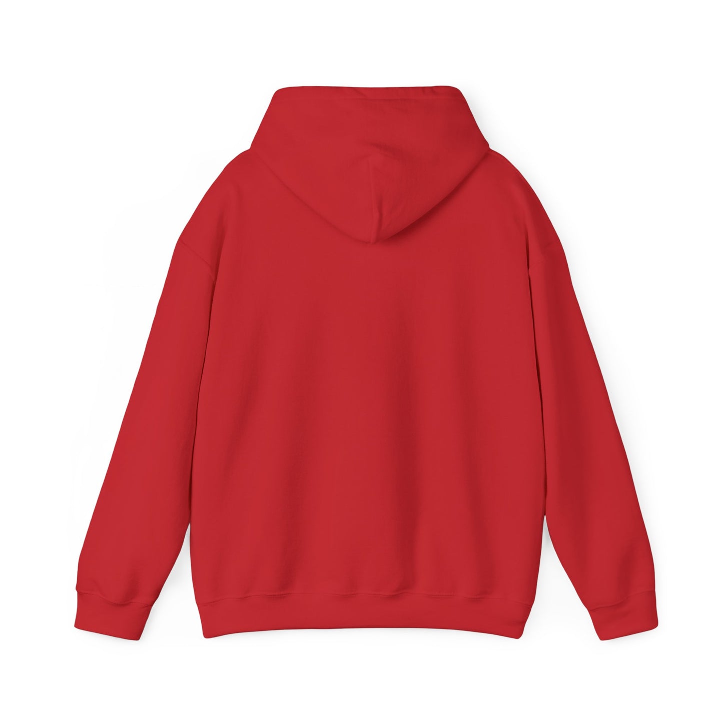 Mandelbrot Nebula Hoodie — Rainbow Fractal Explosion Pullover