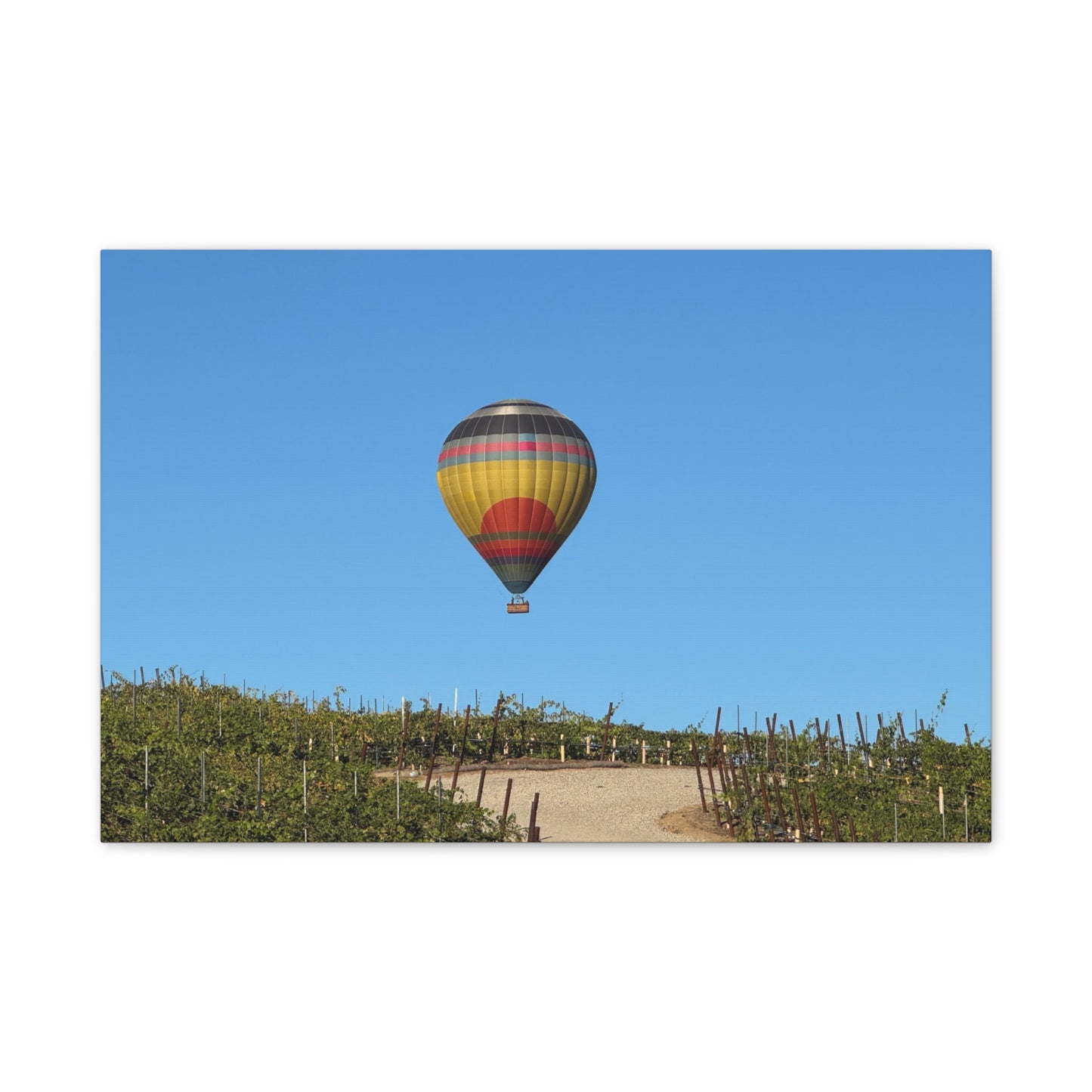 Hot Air Balloon Over Vineyard Canvas