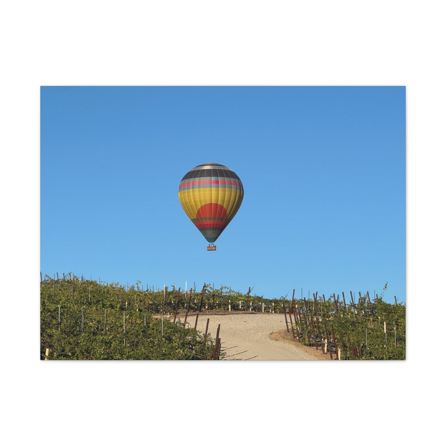 Hot Air Balloon Over Vineyard Canvas
