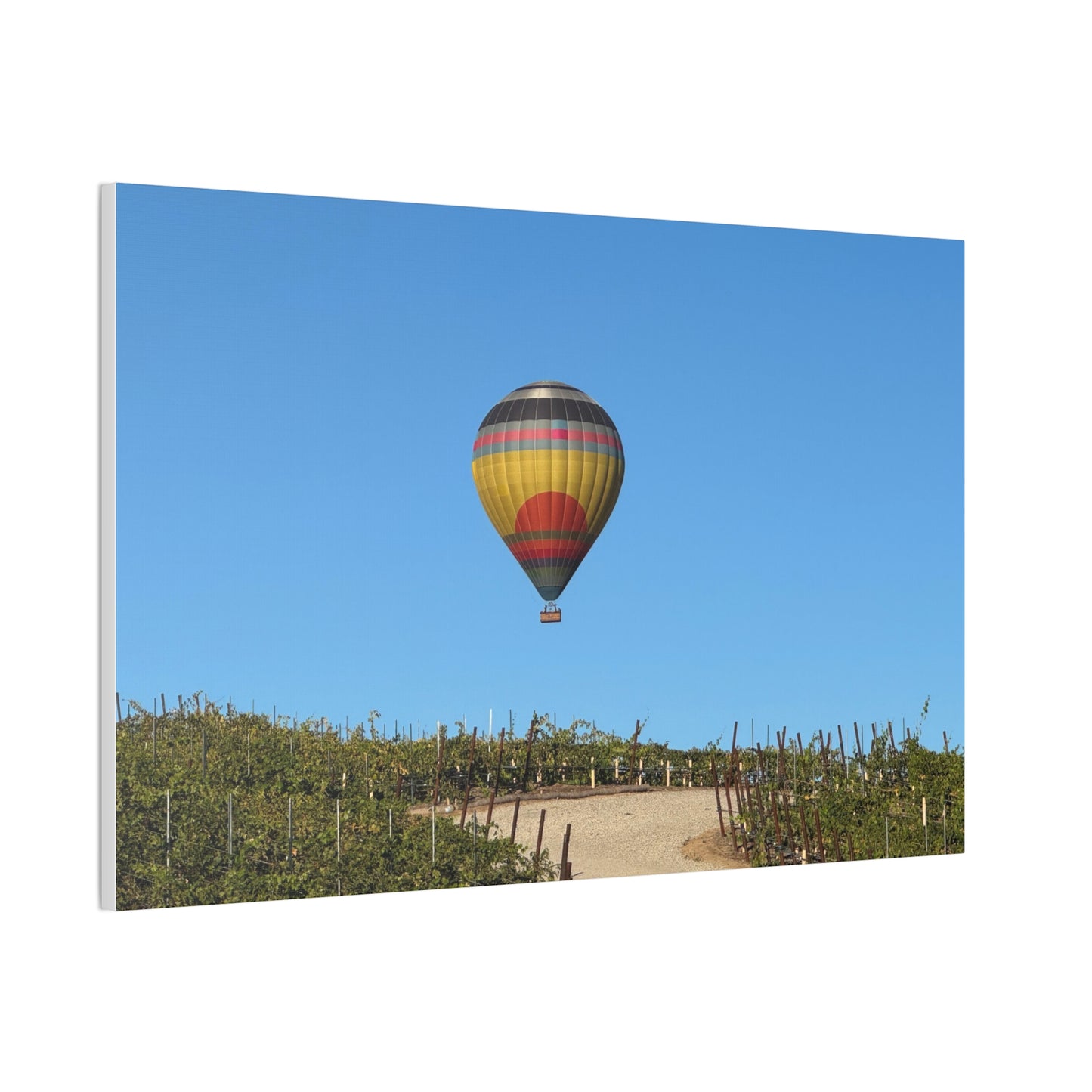 Hot Air Balloon Over Vineyard Canvas