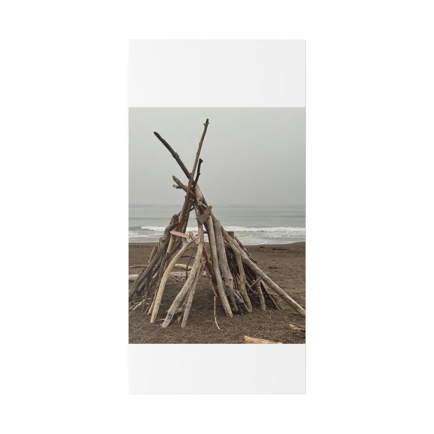Driftwood Teepee Beach Driftwood Canvas
