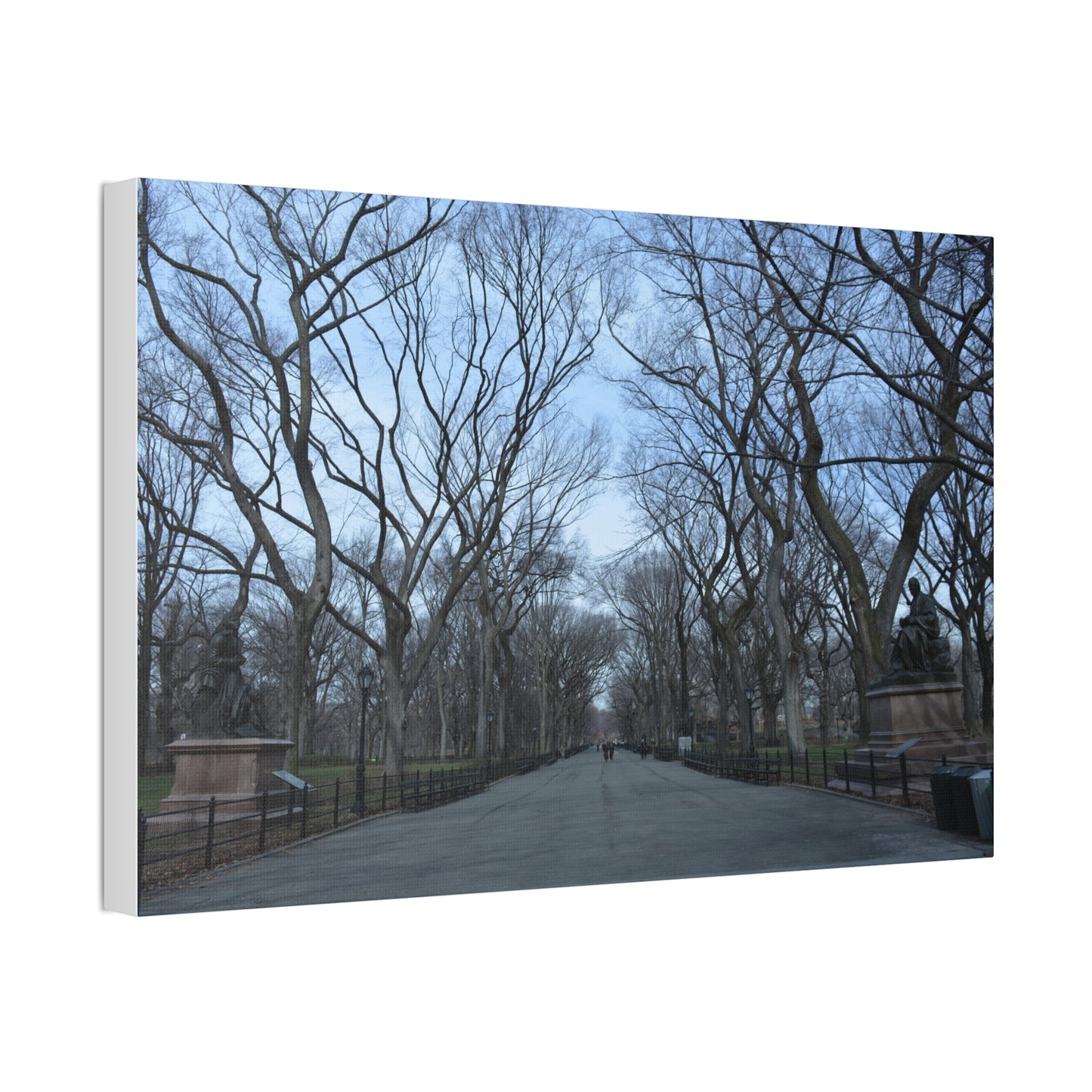 Leafless Tree Lined Path Canvas Stretched | Central Park In Winter Landscape Wall Art