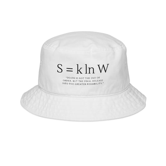 Embroidered 'S = k ln W' Bucket Hat — Thermodynamics Statistical Mechanics Dad Hat