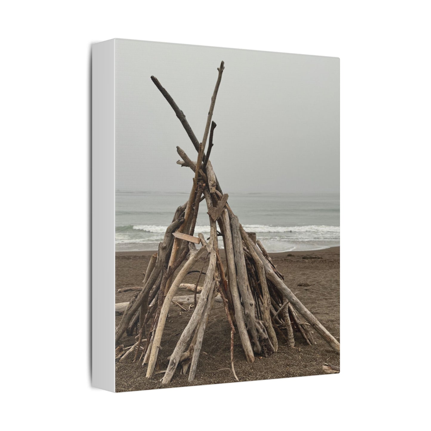 Driftwood Teepee Beach Driftwood Canvas