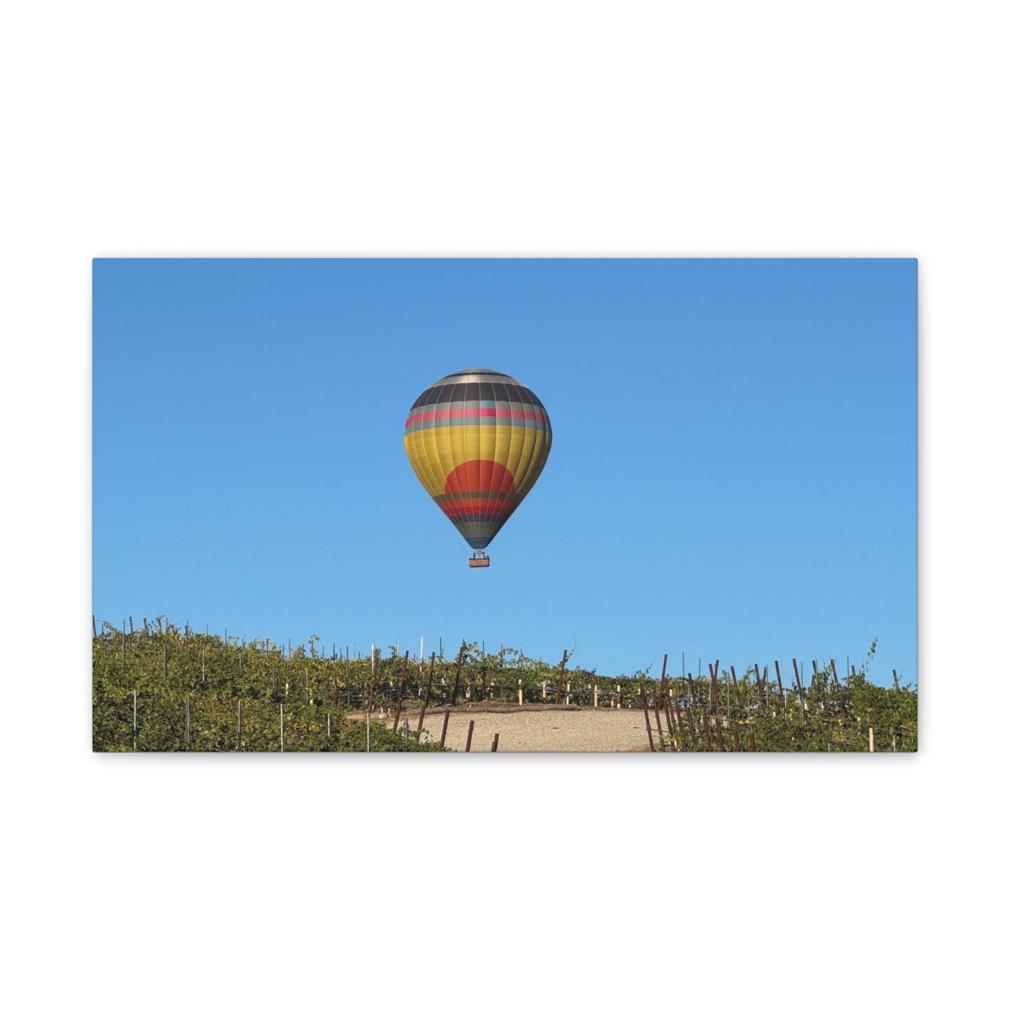 Hot Air Balloon Over Vineyard Canvas