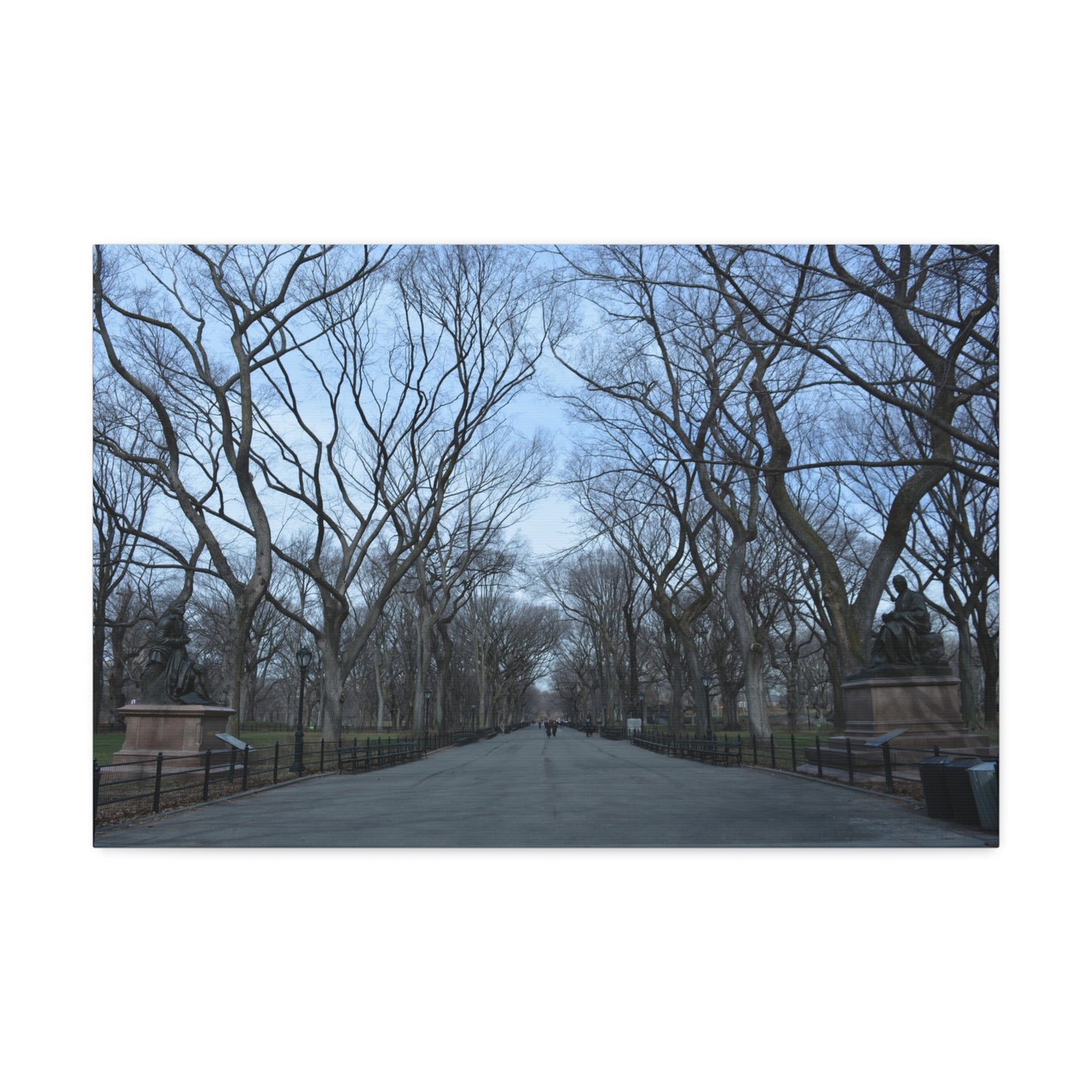 Leafless Tree Lined Path Canvas Stretched | Central Park In Winter Landscape Wall Art