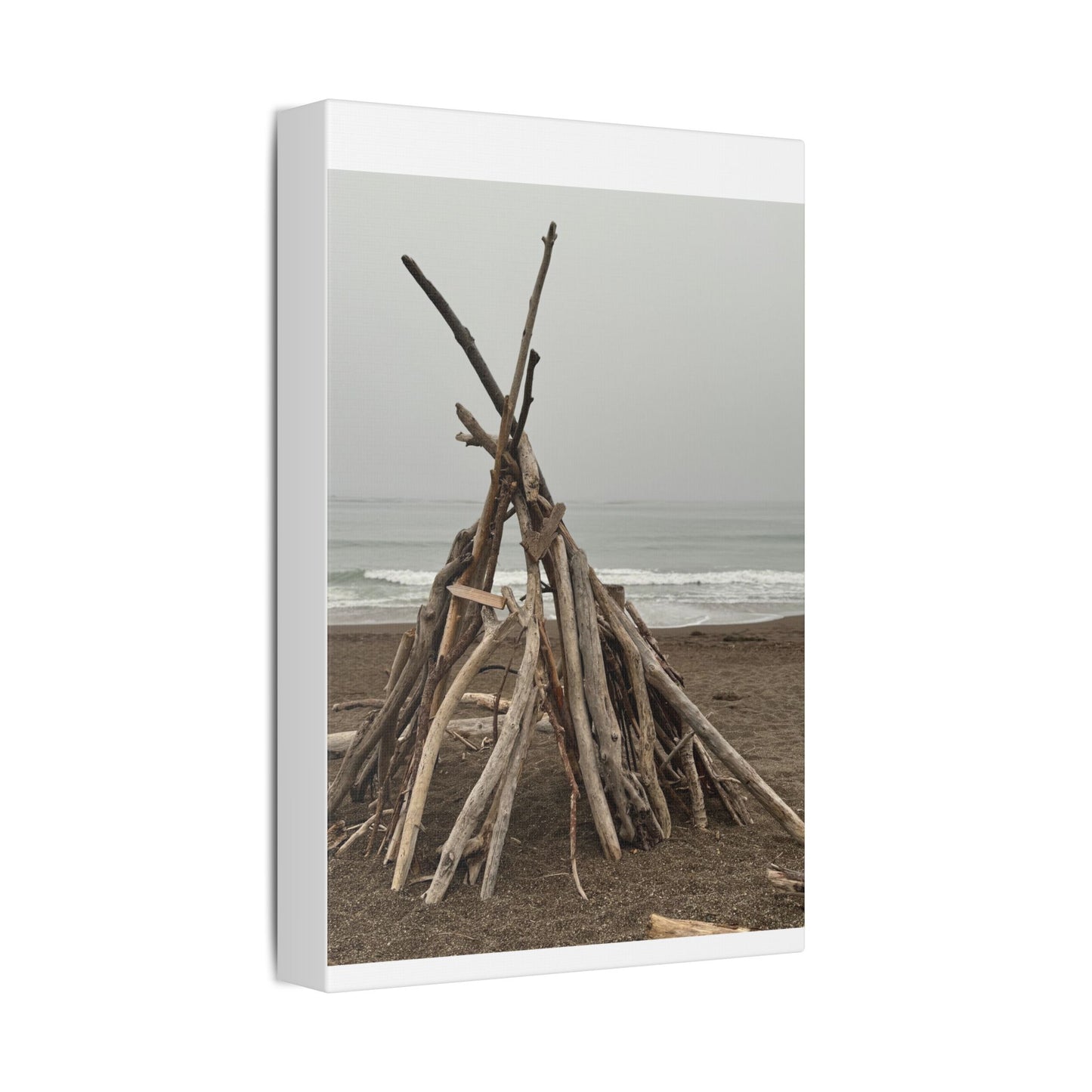 Driftwood Teepee Beach Driftwood Canvas