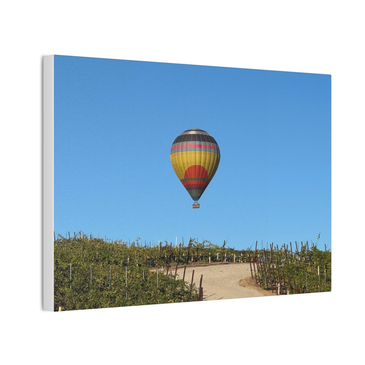 Hot Air Balloon Over Vineyard Canvas