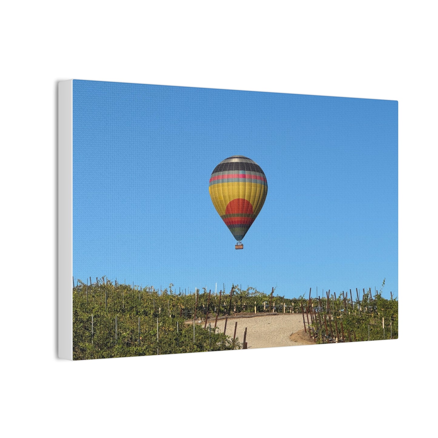 Hot Air Balloon Over Vineyard Canvas