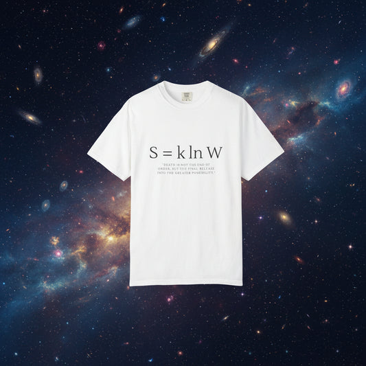 S = k ln W — Boltzmann Entropy Formula T-Shirt