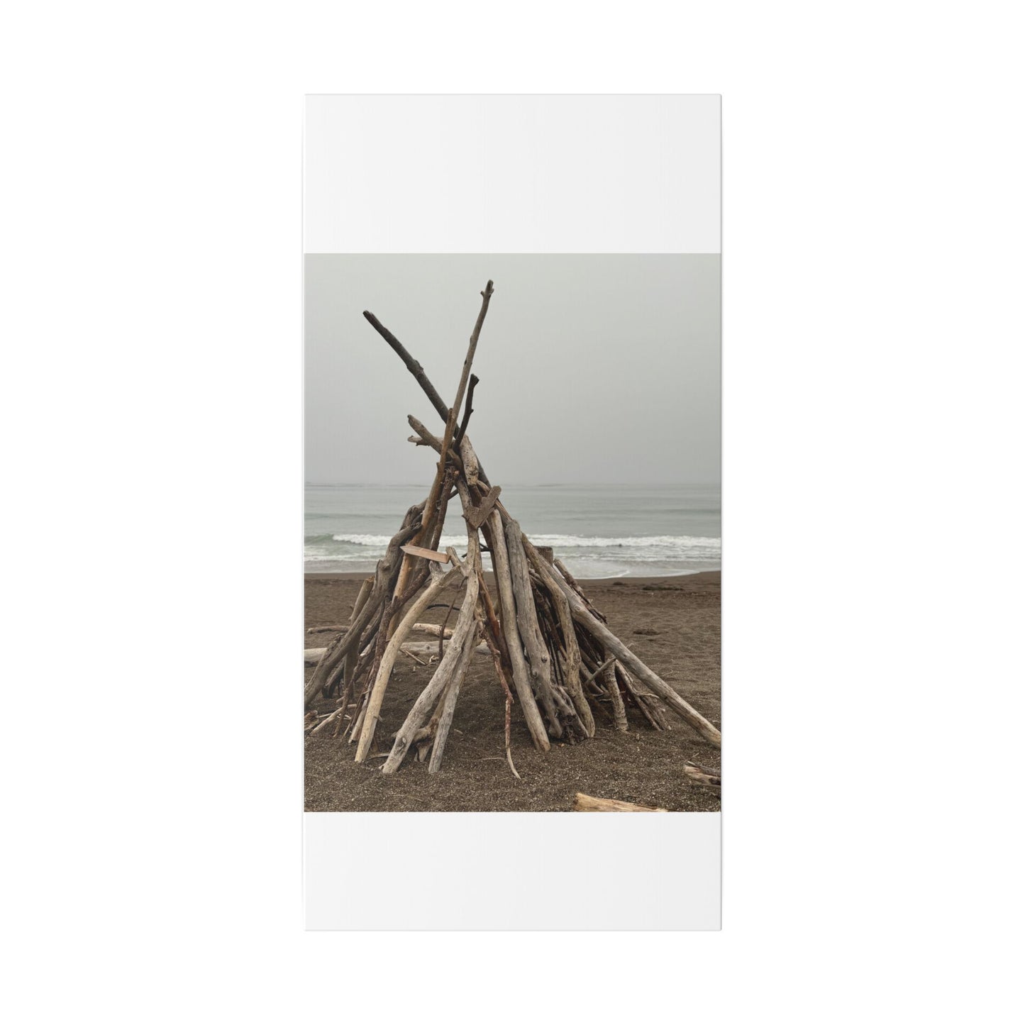 Driftwood Teepee Beach Driftwood Canvas