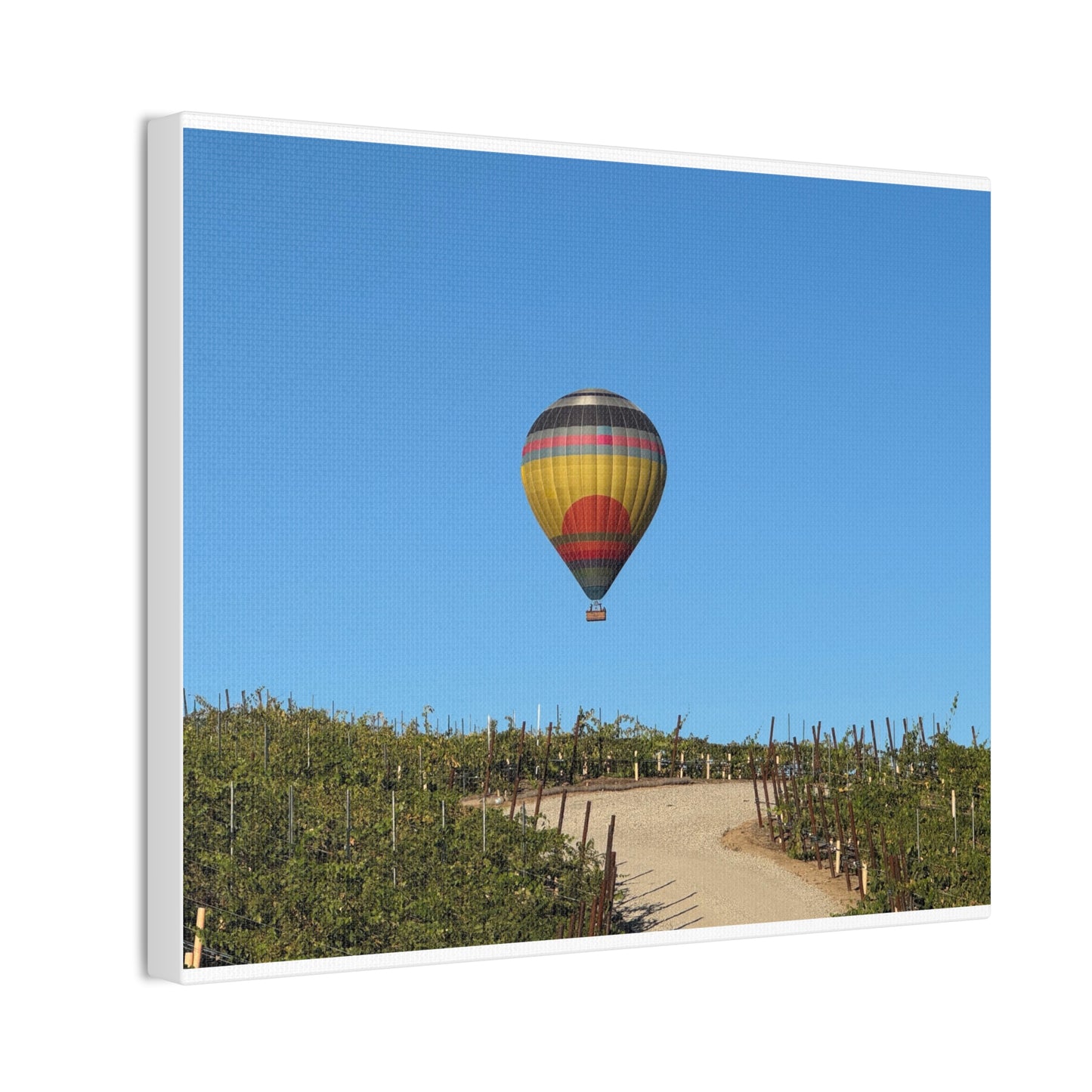 Hot Air Balloon Over Vineyard Canvas