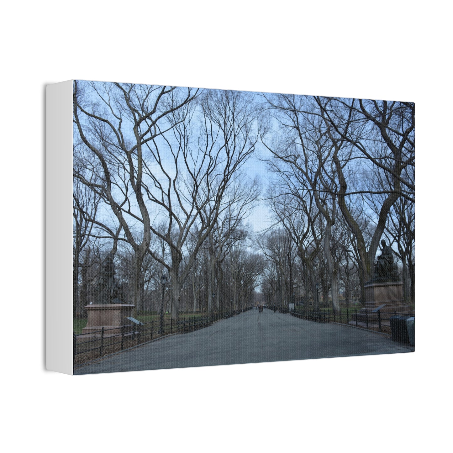 Leafless Tree Lined Path Canvas Stretched | Central Park In Winter Landscape Wall Art