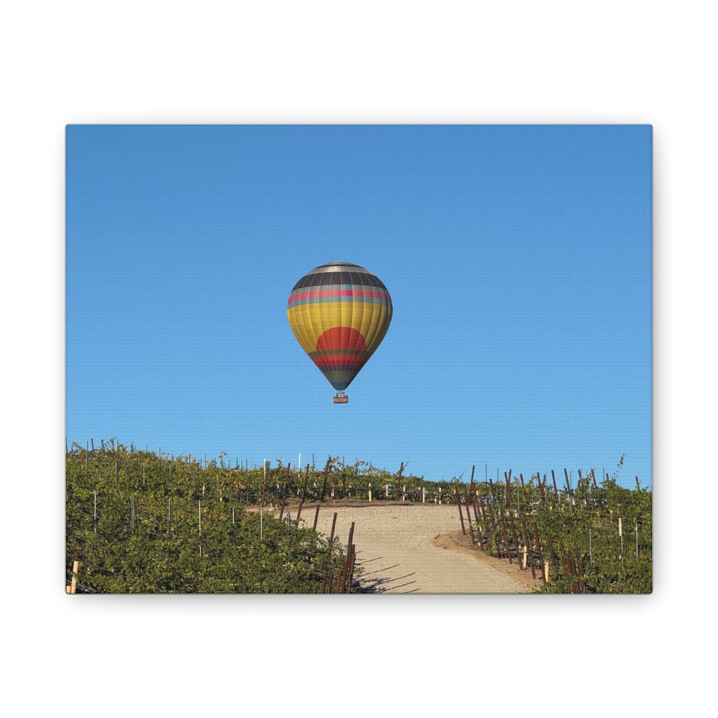 Hot Air Balloon Over Vineyard Canvas