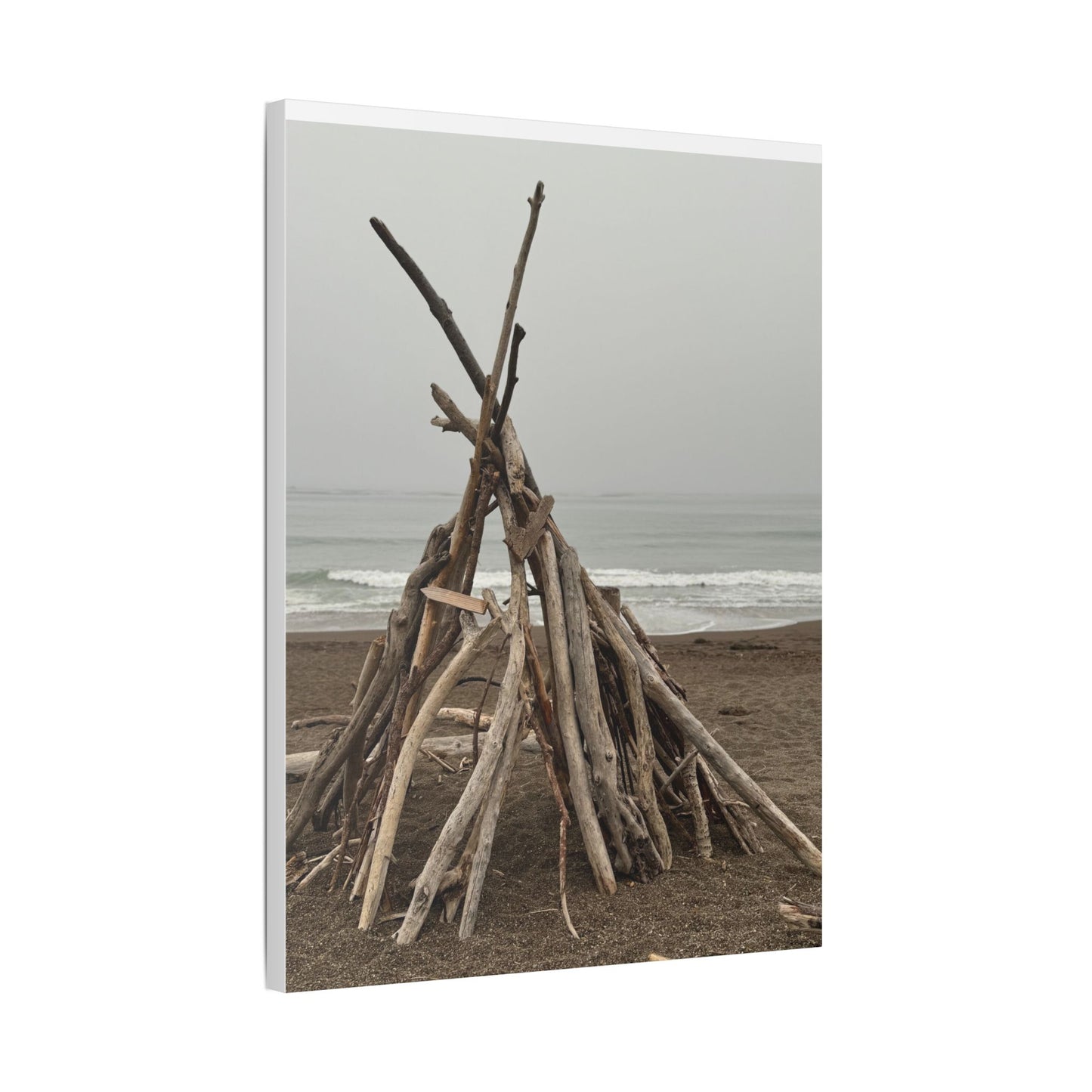Driftwood Teepee Beach Driftwood Canvas