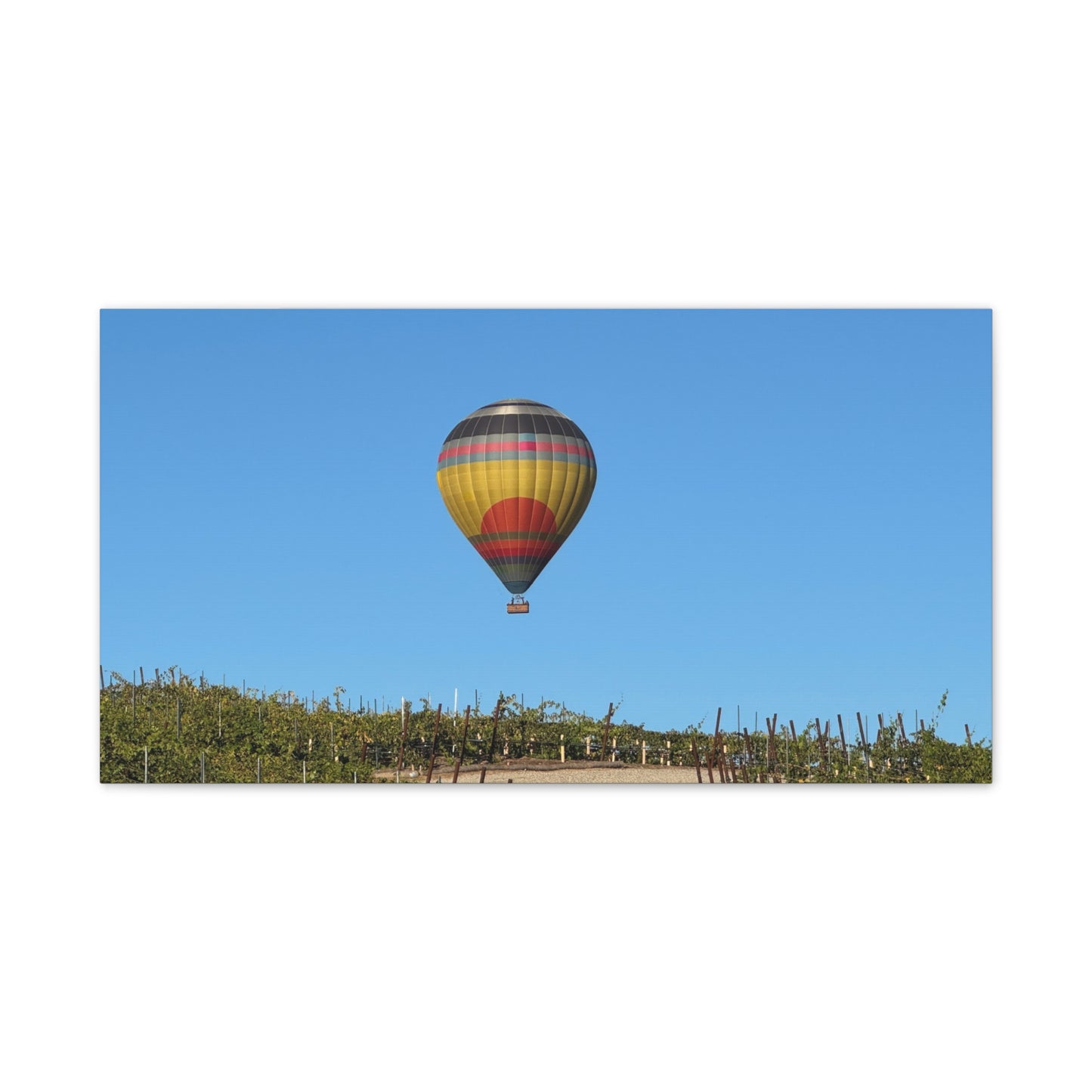 Hot Air Balloon Over Vineyard Canvas
