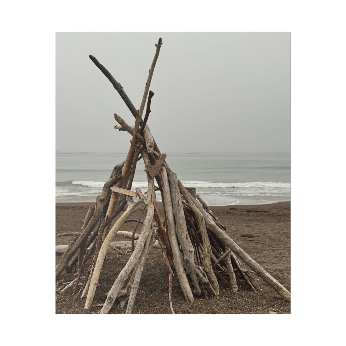 Driftwood Teepee Beach Driftwood Canvas