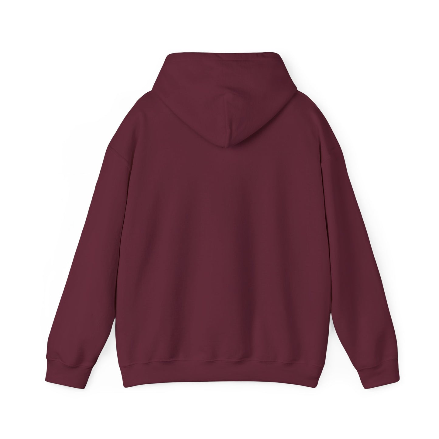 Mandelbrot Nebula Hoodie — Rainbow Fractal Explosion Pullover
