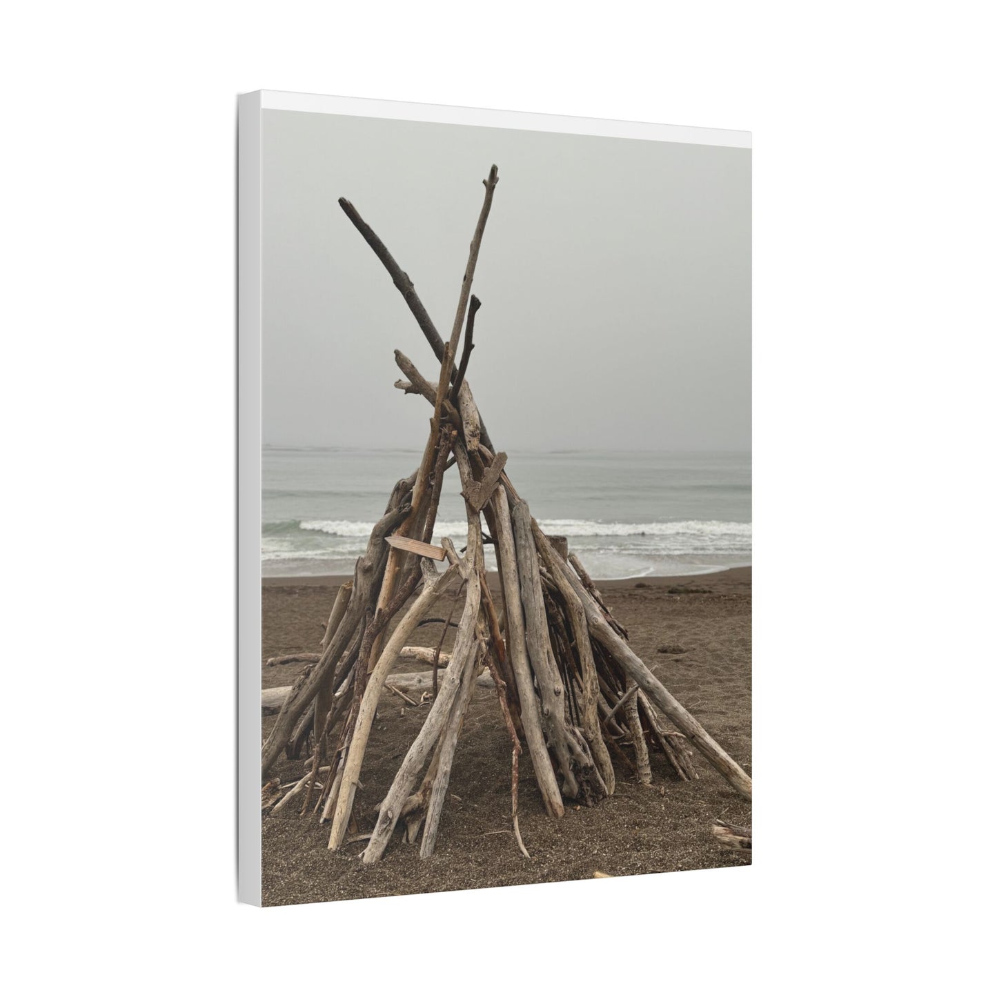 Driftwood Teepee Beach Driftwood Canvas