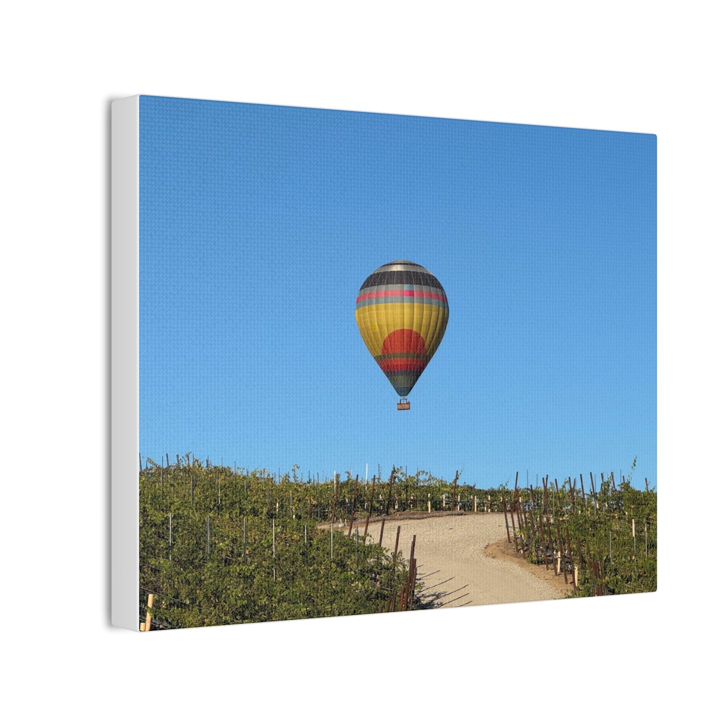 Hot Air Balloon Over Vineyard Canvas