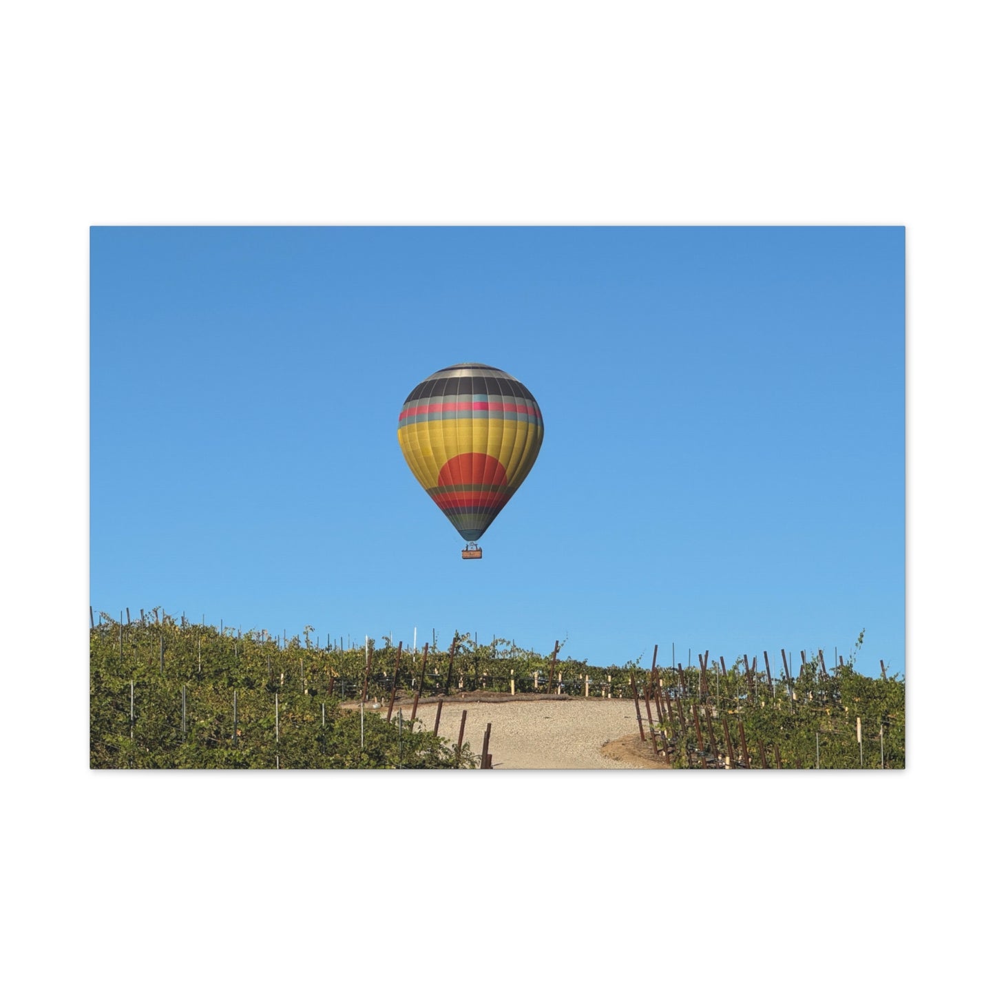 Hot Air Balloon Over Vineyard Canvas