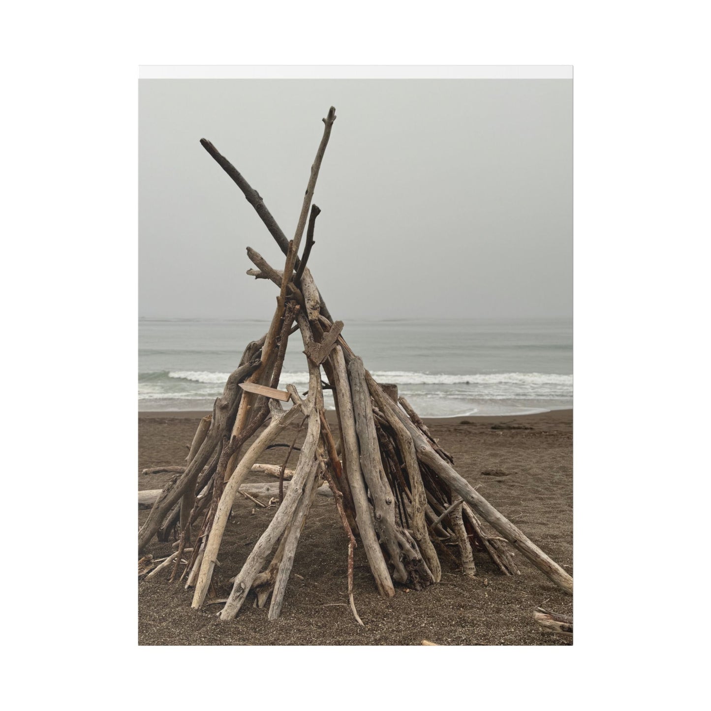 Driftwood Teepee Beach Driftwood Canvas