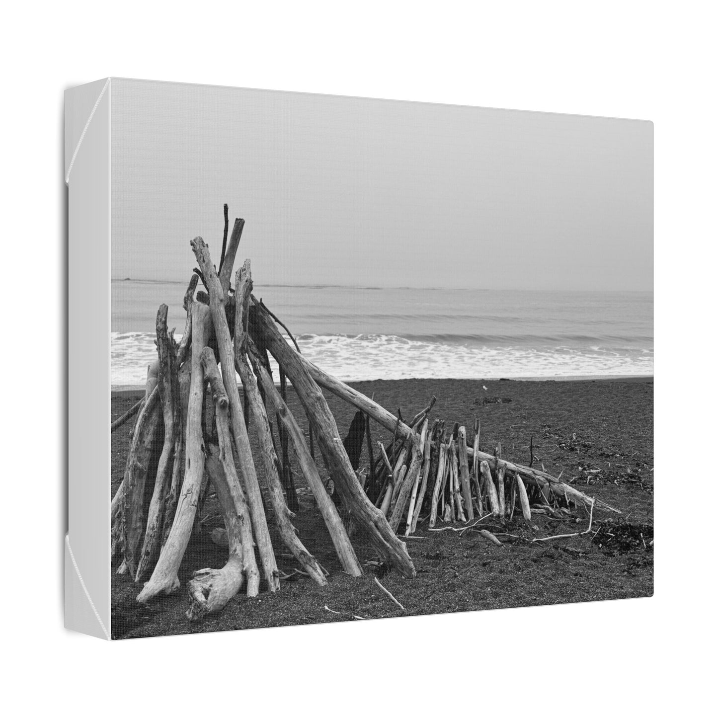 Driftwood Beach Shack Canvas | Black and White Coastal Wall Art