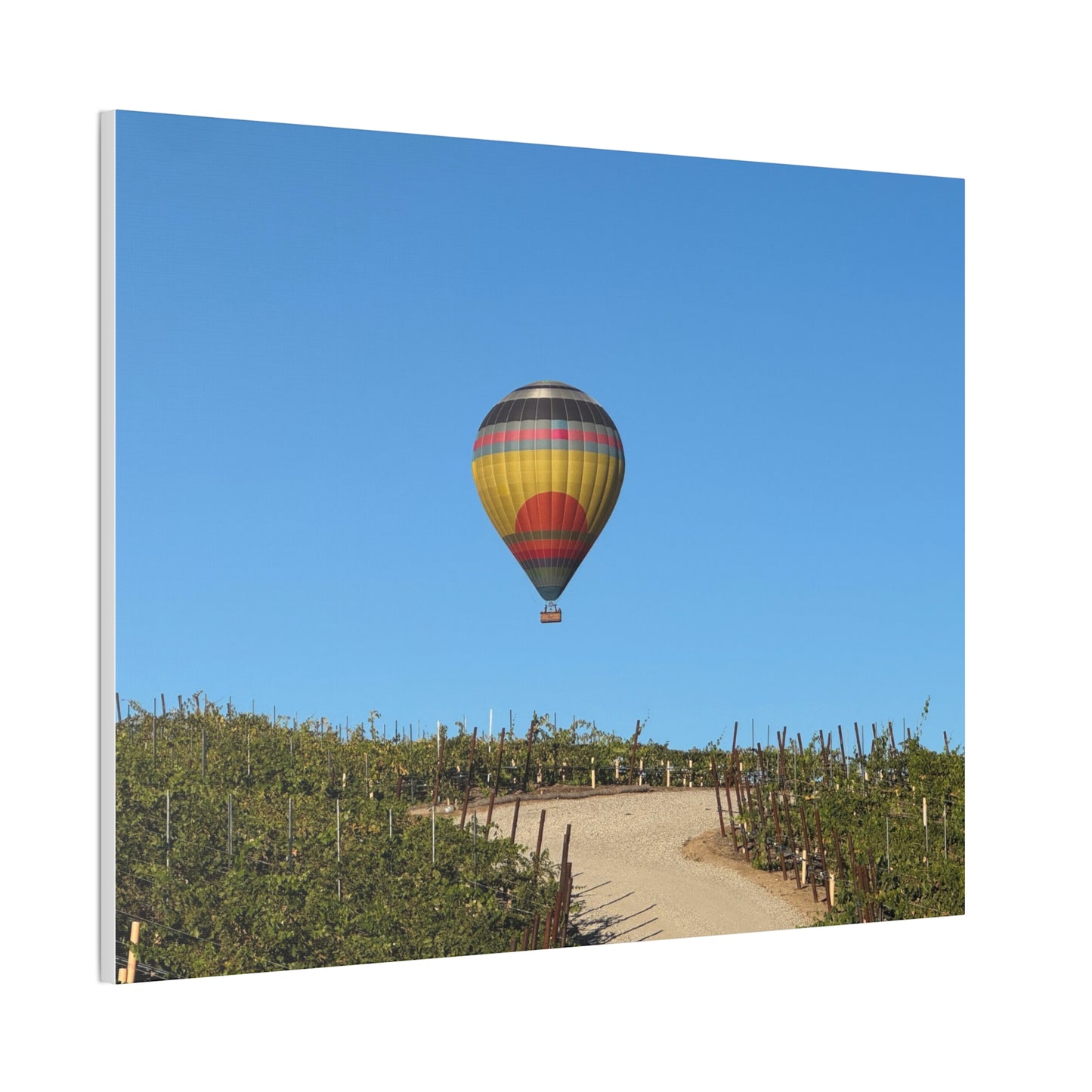 Hot Air Balloon Over Vineyard Canvas