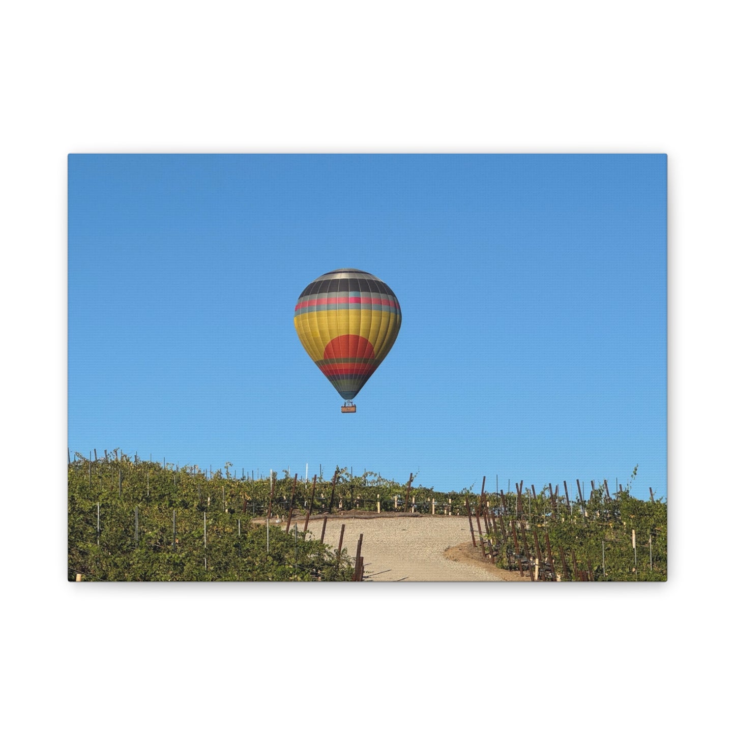 Hot Air Balloon Over Vineyard Canvas