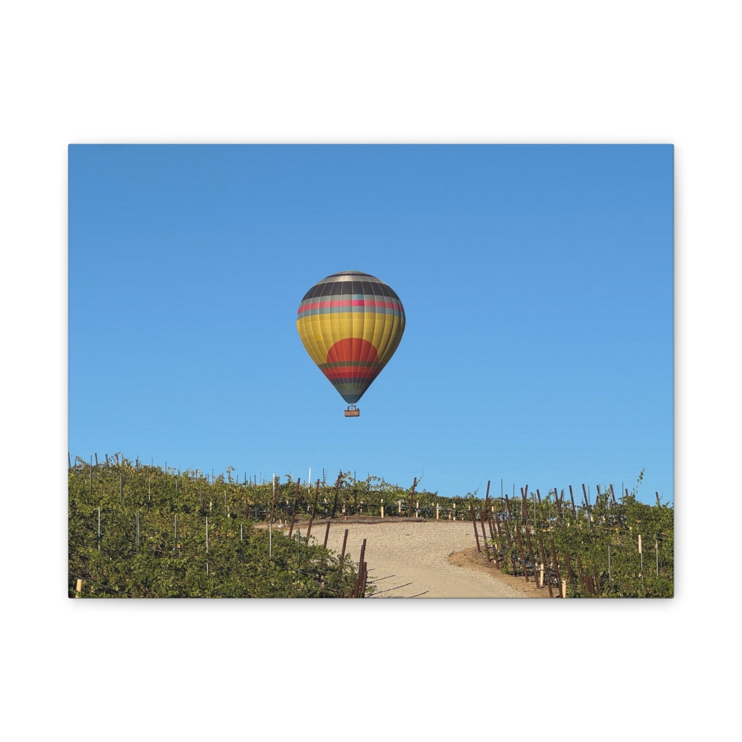 Hot Air Balloon Over Vineyard Canvas