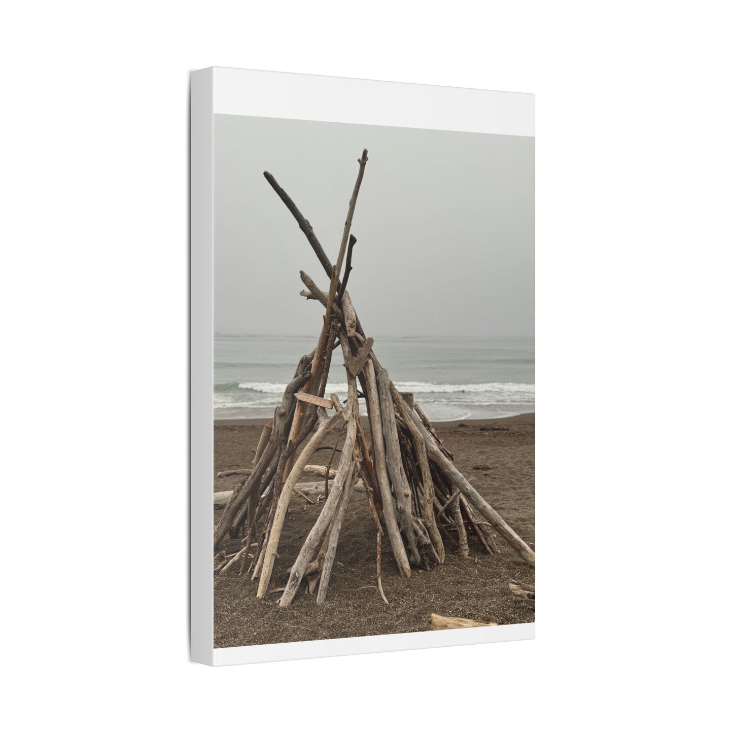 Driftwood Teepee Beach Driftwood Canvas