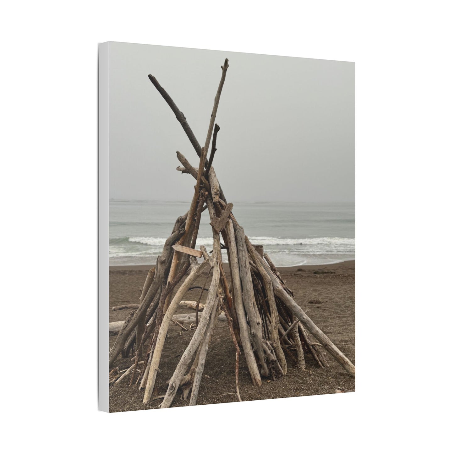 Driftwood Teepee Beach Driftwood Canvas