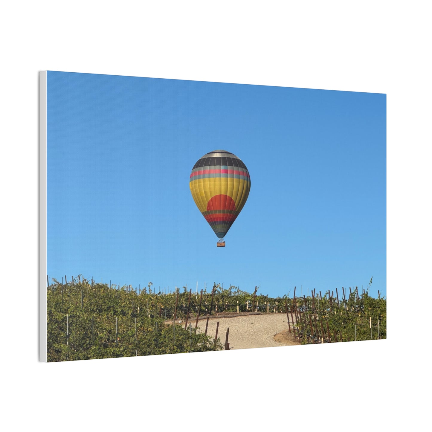 Hot Air Balloon Over Vineyard Canvas