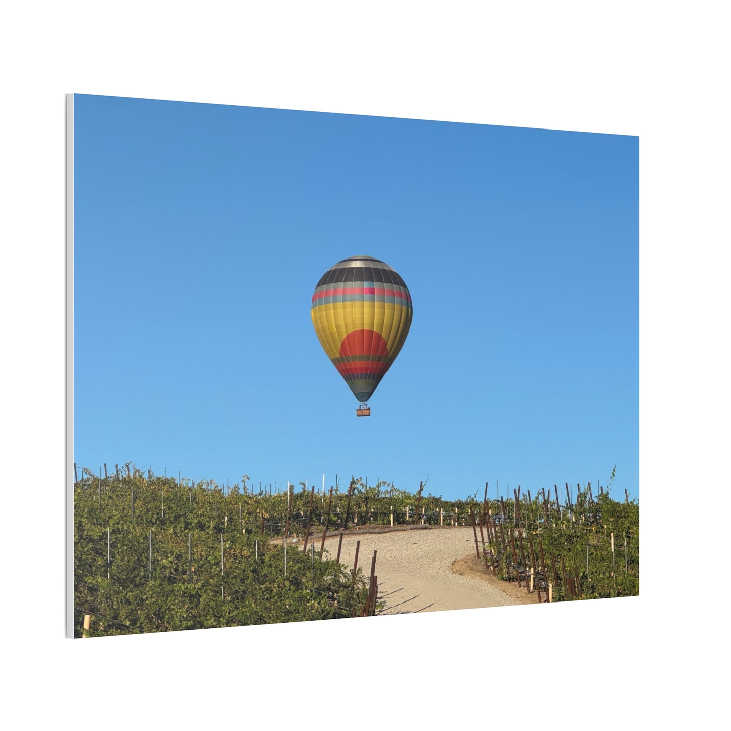 Hot Air Balloon Over Vineyard Canvas