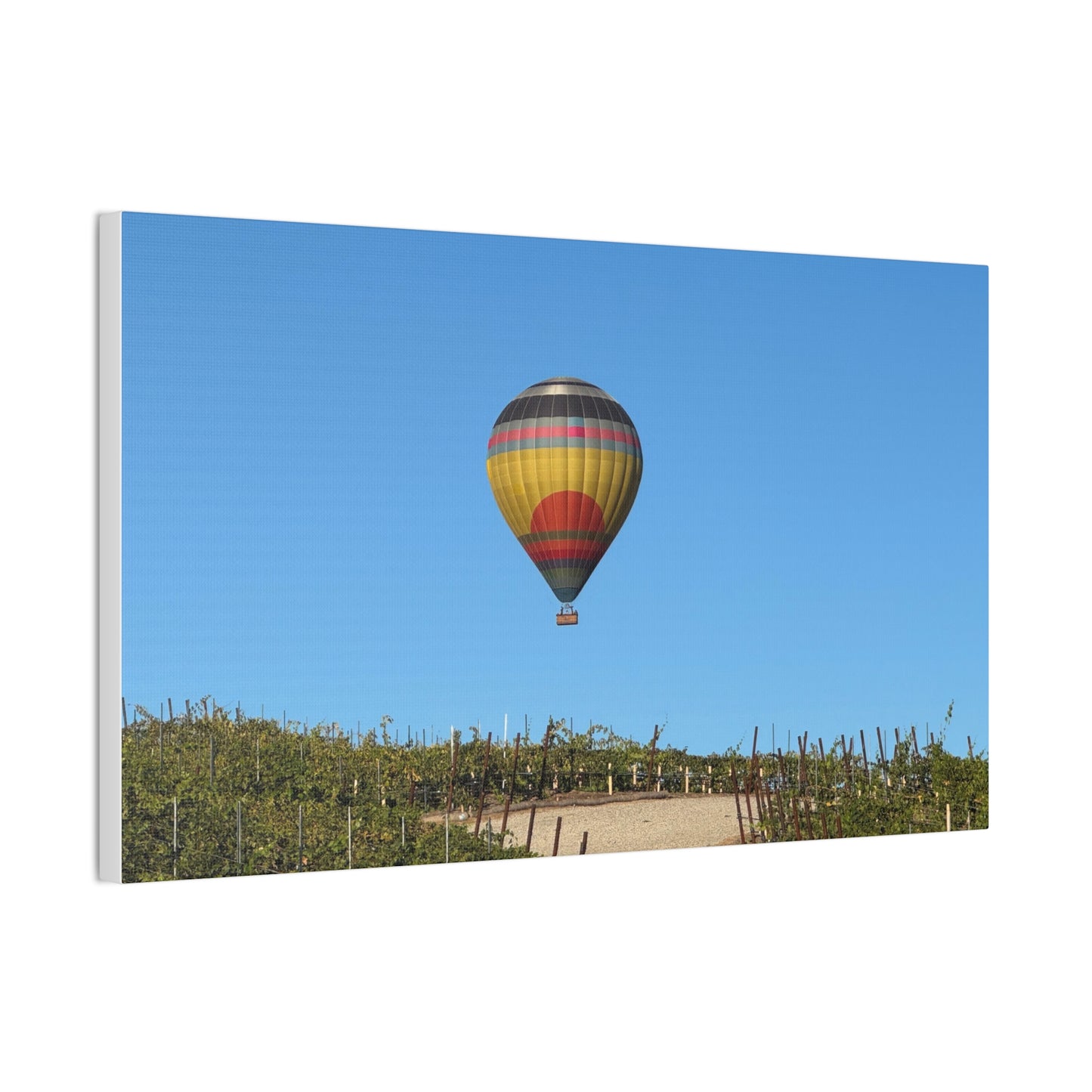 Hot Air Balloon Over Vineyard Canvas