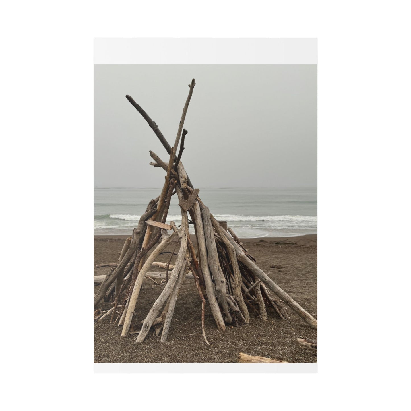 Driftwood Teepee Beach Driftwood Canvas