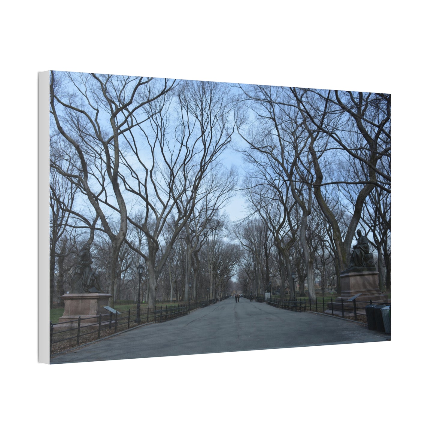 Leafless Tree Lined Path Canvas Stretched | Central Park In Winter Landscape Wall Art