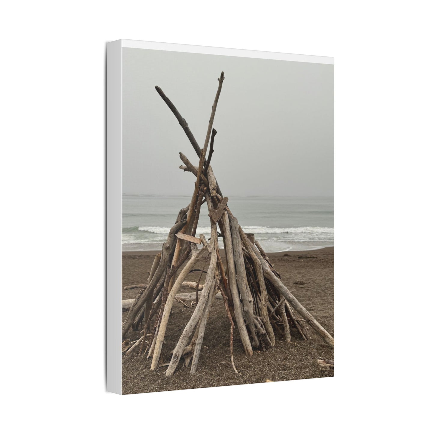 Driftwood Teepee Beach Driftwood Canvas