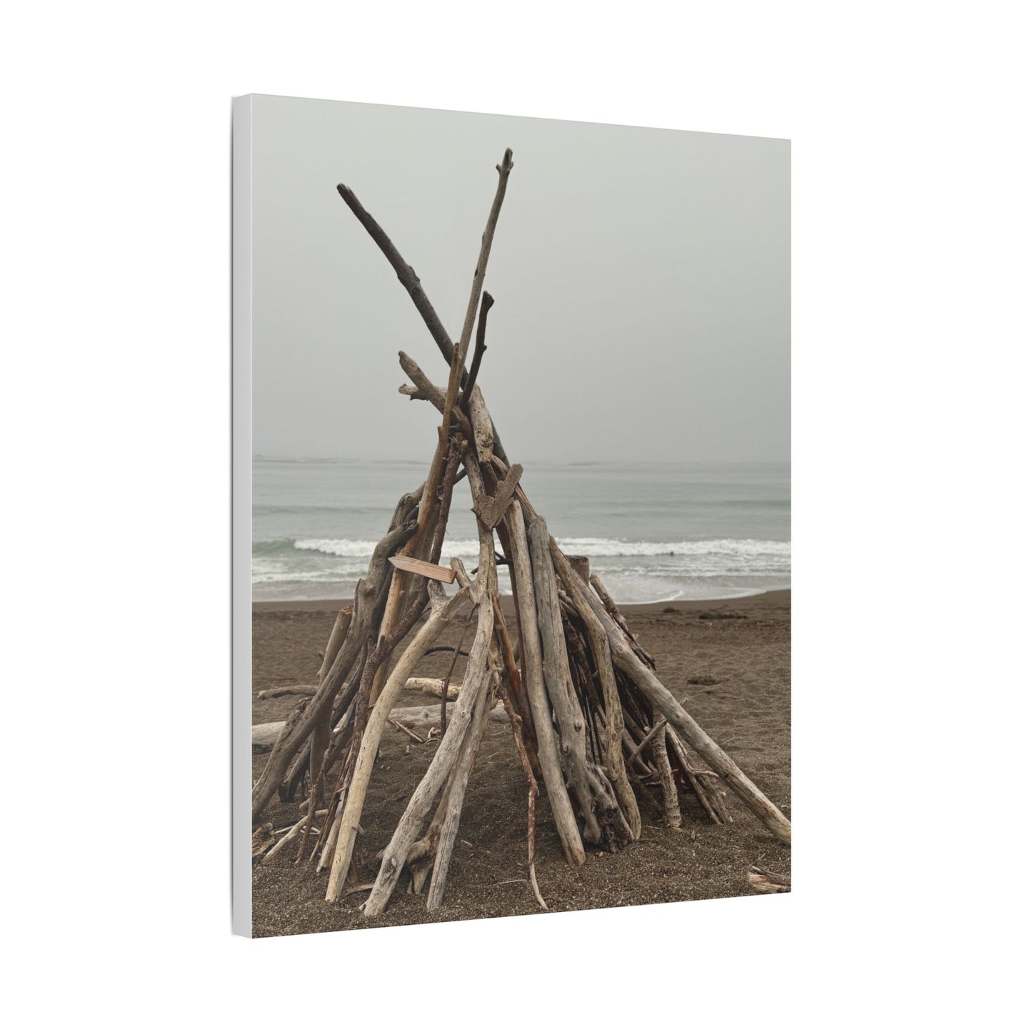 Driftwood Teepee Beach Driftwood Canvas