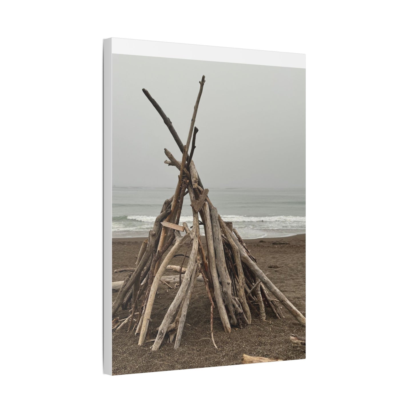 Driftwood Teepee Beach Driftwood Canvas