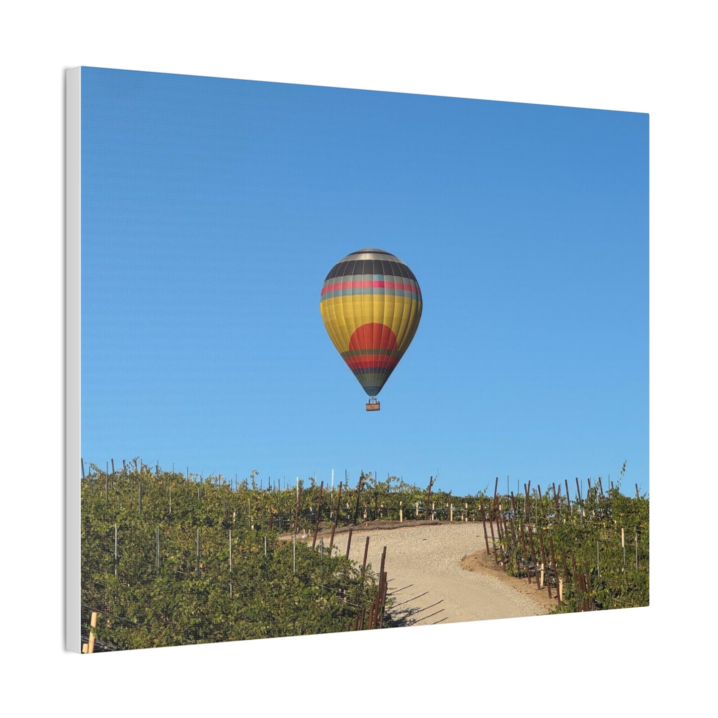 Hot Air Balloon Over Vineyard Canvas